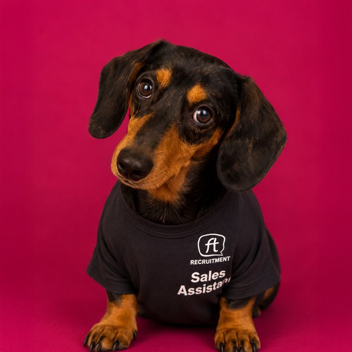 Sales Assistant